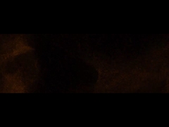 مسئول شرکت فادیور