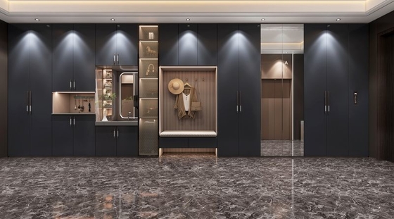 Sleek  Entry Way Storage Cabinet With Dark Matte Finish And LED Lighting
