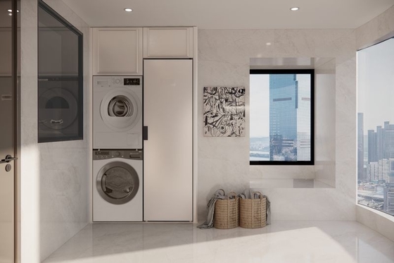کابینت بالکن فادیور از فولاد ضد زنگ با راه حل یکپارچه لباسشویی و ذخیره سازی